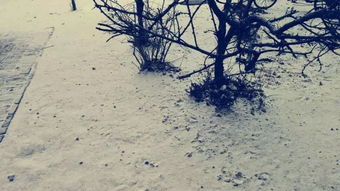 有云詩(shī)句古詩(shī)