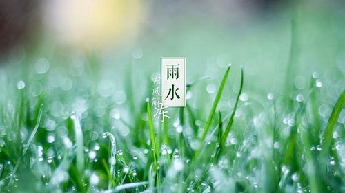有關(guān)雨詩句古詩