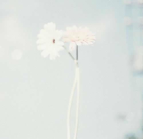 關(guān)于物是人非流淚詩句