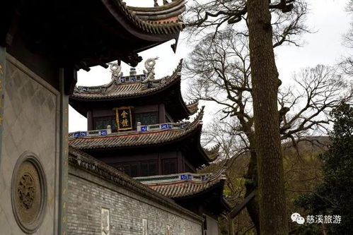 詩(shī)句,山外,古寺