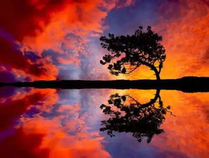 關(guān)于夕陽(yáng)的詩(shī)句古詩(shī)詞