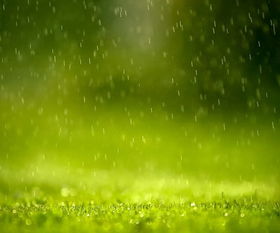 春雨,詩(shī)句,描繪