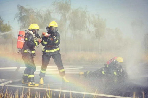 關于不畏嚴寒不懼艱難的詩句