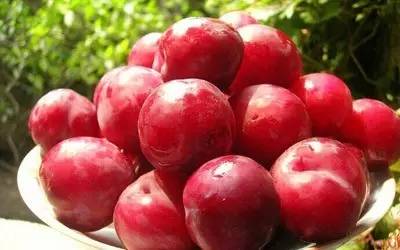 關(guān)于水果李子的詩(shī)句