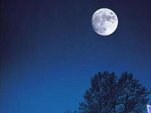 中秋詩句古詩四首