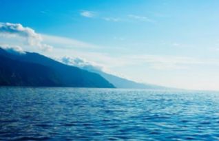 描寫大海的詩句完整古詩