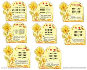 菊花的古詩菊花的古詩句