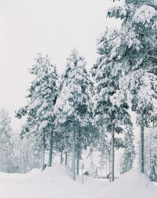 關(guān)于雪融化成溪水的詩(shī)句