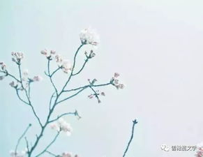 四字關(guān)于愛情詩句古詩