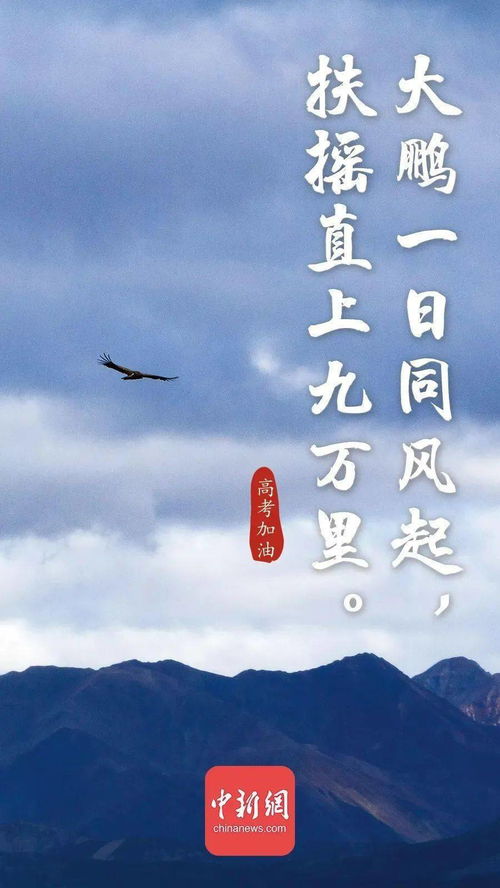 關(guān)于風(fēng)的詩(shī)句古詩(shī)詞