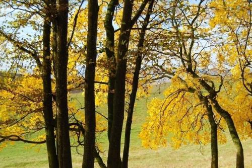 秋天的關(guān)于美的詩(shī)句有哪些