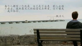 贊美音樂老師的詩句,形容音樂老師的詩句,送給音樂老師的詩句