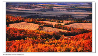 關(guān)于土地的詩句大全