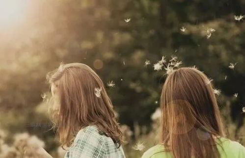 關(guān)于回憶友情的詩句