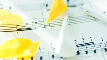 形容真誠(chéng)相待的古詩(shī)句,真誠(chéng)待人的古詩(shī)句,坦誠(chéng)相待的古詩(shī)句