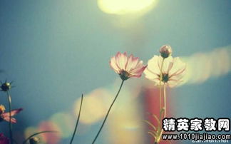 挽回愛人的古詩(shī)句