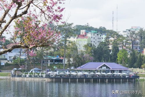 關(guān)于人工湖的詩句