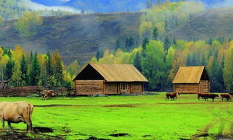 關(guān)于田園風(fēng)光的詩(shī)句,贊美田園風(fēng)光的詩(shī)句,鄉(xiāng)村田園風(fēng)光的詩(shī)句