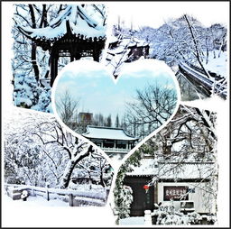 關(guān)于揚(yáng)州下雪詩句