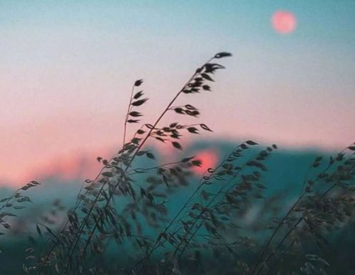 關(guān)于相逢的唯美詩句