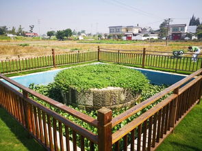 關(guān)于生活垃圾的詩句