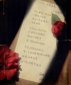 汪國(guó)真關(guān)于選擇放棄的詩(shī)句