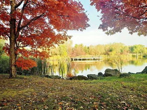 關(guān)于十月景色的詩句