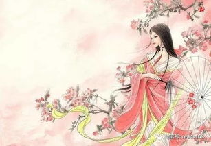 關(guān)于相惜的詩句