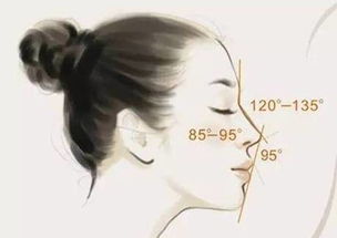 關(guān)于鼻子的詩(shī)句