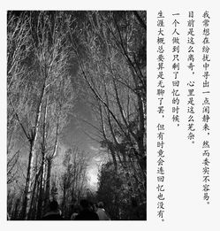 關于故鄉(xiāng)與鄰居的詩句