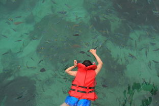 關(guān)于小魚和大海的詩句