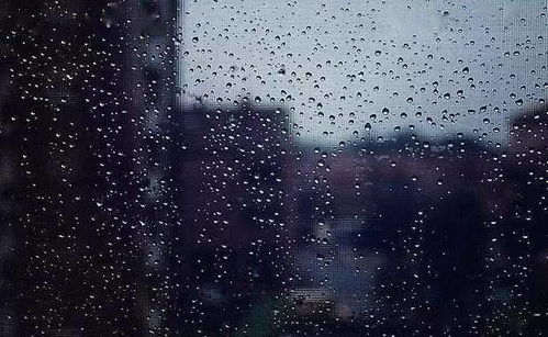 含有雨字的古詩(shī)句,寫出含有雨的古詩(shī)句,小學(xué)生含有水的古詩(shī)句