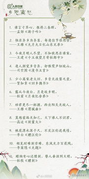 關(guān)于在實(shí)踐中學(xué)會運(yùn)用的詩句名言警句