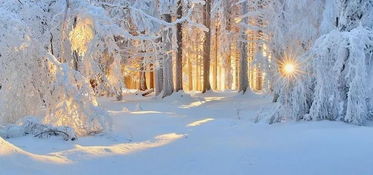 關(guān)于冬天的著名詩句