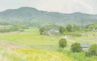 長(zhǎng)江風(fēng)箏的詩(shī)句古詩(shī)詞