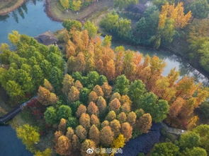 百度唐詩贊美秋景的古詩句