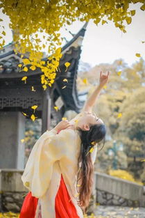 古詩,詩句,中帶,圣光