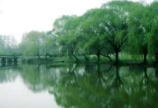 關于南京玄武湖詩句