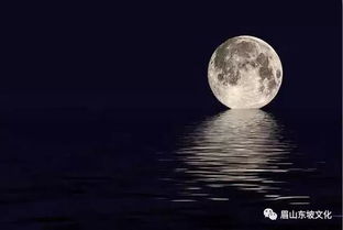 蘇軾關(guān)于楓林美好的詩(shī)句