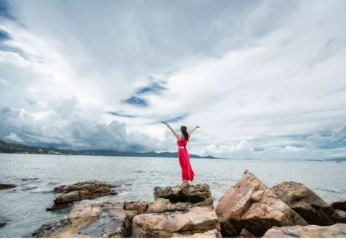 關于風的詩句體現(xiàn)了作者什么思想感情