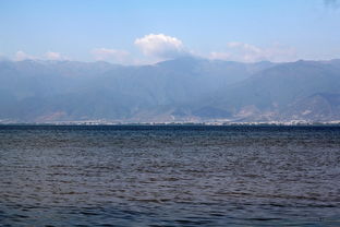 描寫(xiě)洱海的詩(shī)句古詩(shī)詞