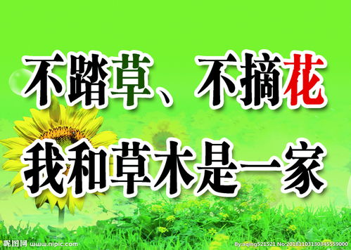 關(guān)于禁止摘花踏草的詩句