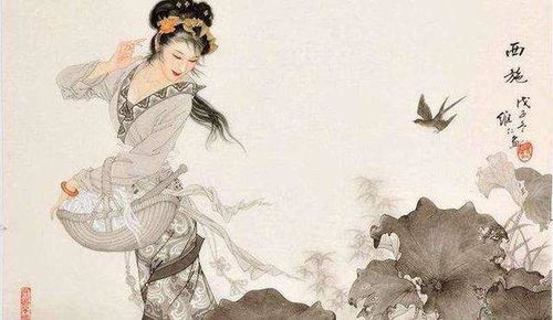 關(guān)于贊美女人美麗的詩(shī)句