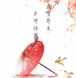 關于醉的唯美詩句