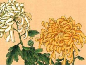 黃巢菊花的古詩(shī)句