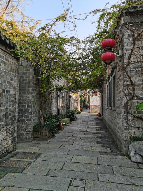 關(guān)于老門東詩句