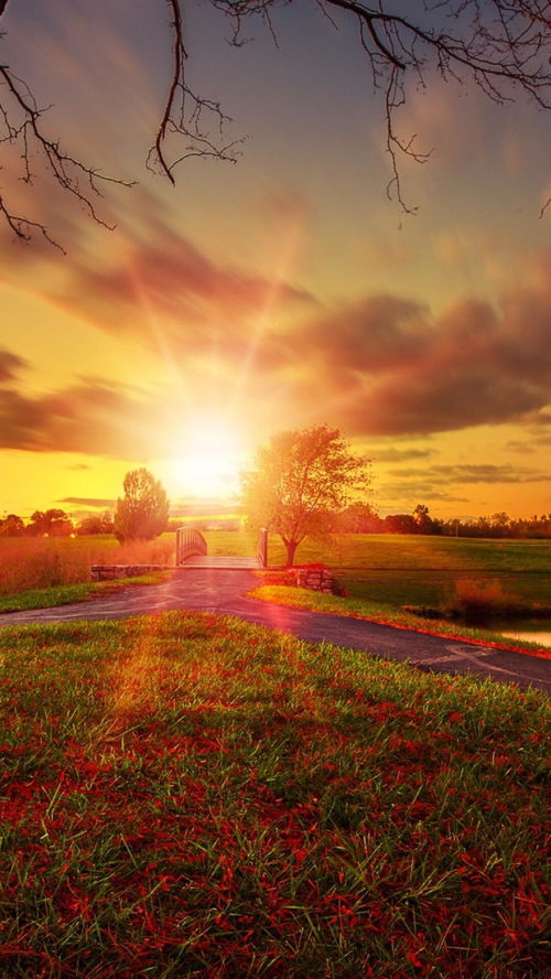 描寫夕陽帶來美好的詩句古詩