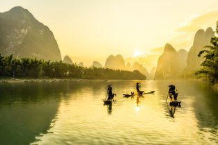 含有桑樹的詩句古詩