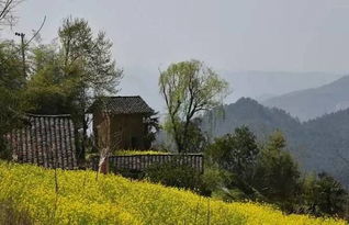 關(guān)于離家想念目前的詩(shī)句