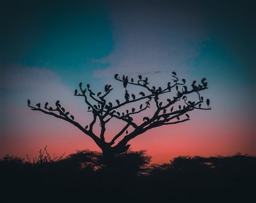 古詩詩句傷感的句子